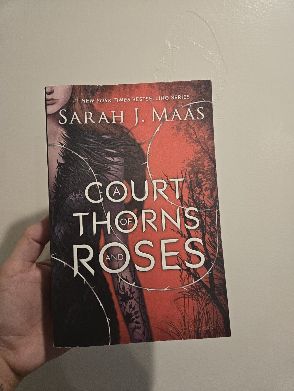 A Cpurt Of Thorns And Roses Oop